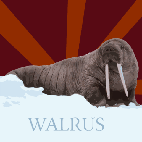 Walrus GIF.