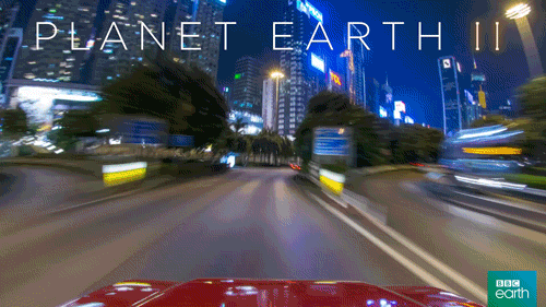 transport,car,travel,city,fast,quick,cities,planet earth 2,bbc earth