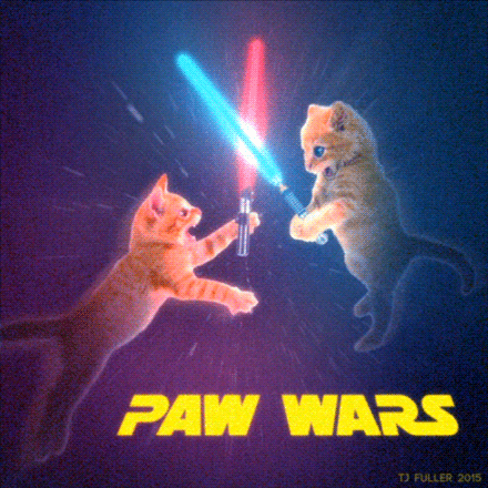 star wars,kittens,cats,light saber,fight,kitty