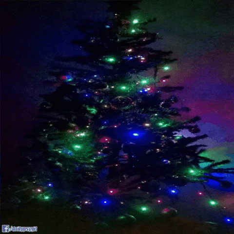 christmas,light,trippy,merry,color,psychedelic,holiday,flash,visual,pine,hue,shift,traå