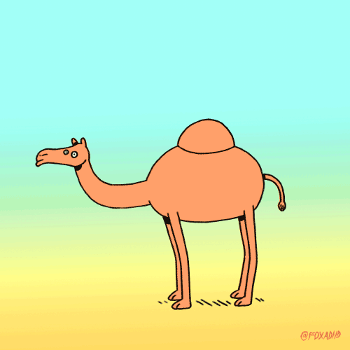 camel,humpday,artists on tumblr,foxadhd,henry bonsu,google,street view,animation domination high def