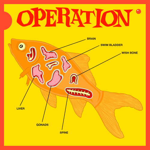operation,fox,artists on tumblr,animal,fish,animation domination,fox adhd,goldfish,animation domination high def