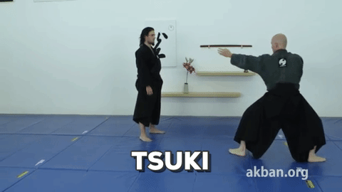 akban,mma,instructional,martial arts,ninjutsu,krav maga,kata,budo,taijutsu,traditional mma