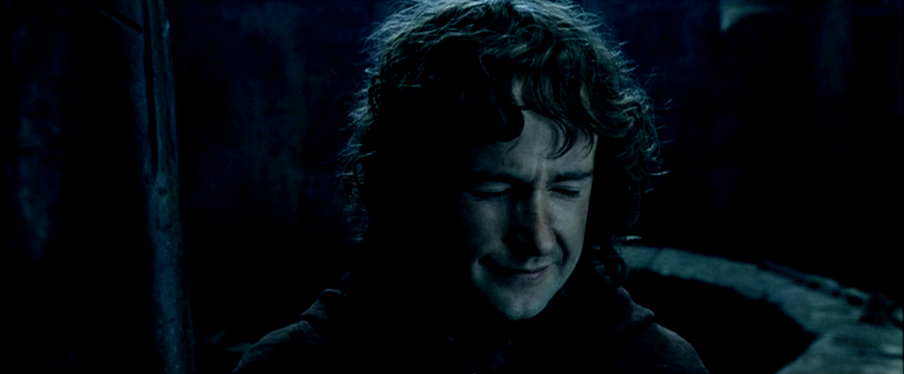Animated GIF: lord of the rings fellowship of the ring pippin.