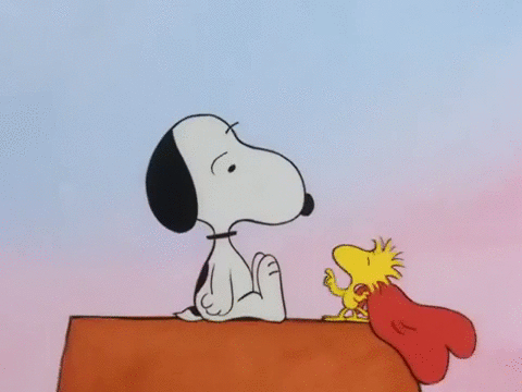 snoopy,valentines day,peanuts,charlie brown,be my valentine charlie brown,woodstock
