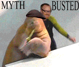 happy,dancing,animals,excited,walrus,mythbusters