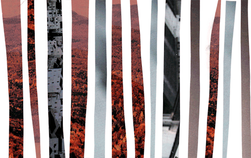 collage,animation,loop,landscape,tumblr featured,stripes,loops,national geographic