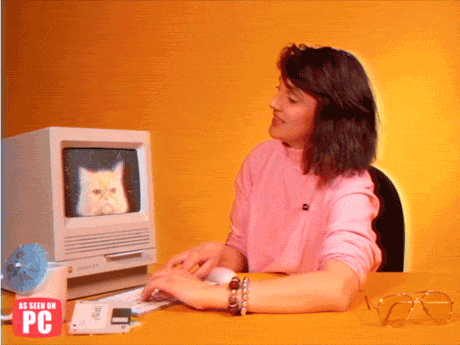 infomercial,work,gift,cat,90s,retro,kitten,mac,working,delivery,typing