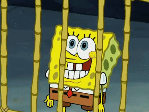 GIF animé : spongebob squarepants bob esponja bob l'éponge.