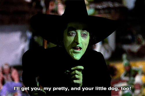 wicked witch of the west,wizard of oz,dog,dorothy,toto,my dear
