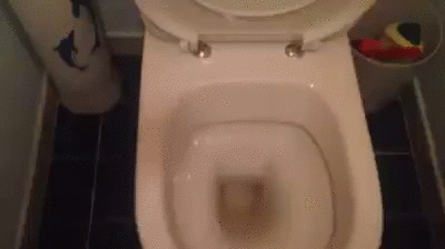 Toilette klo pur GIF.