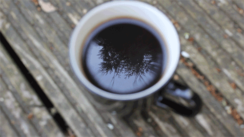 reflection,fall,indie,boho,coffee cup,coffee