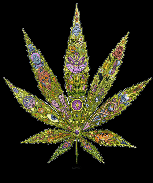 marijuana,tumblr,leaf,gallery,pot