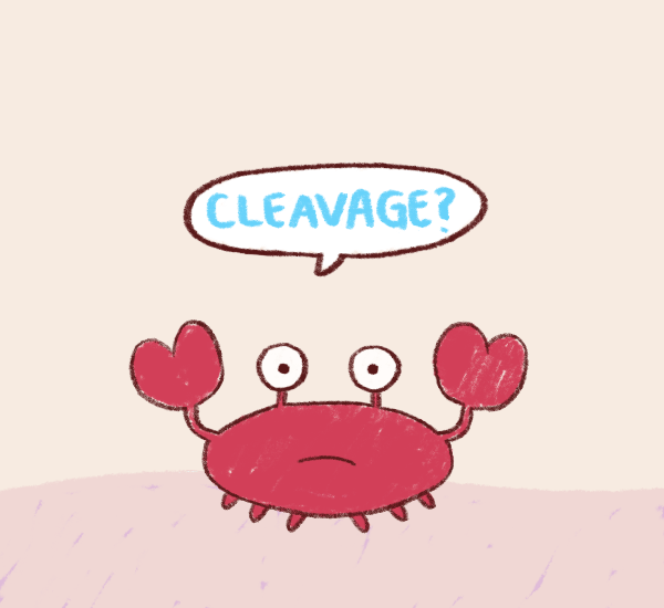 lol,cartoon hangover,frederatorblog,bee and puppycat,crab,cleavage