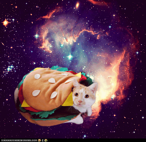cat,space,pictures,mars,costume,burger,has,lolcats