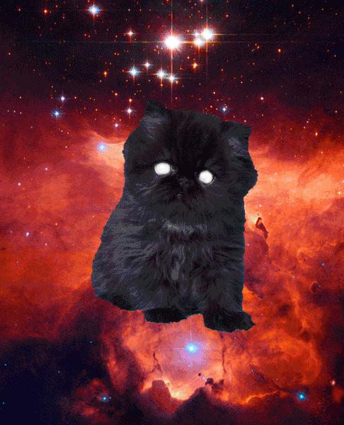 На телефоне включи кот. Космический кот. Кот в космосе. Космические котята. Милые космические котики.