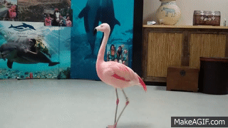 dancing,rip,flamingo,pinky