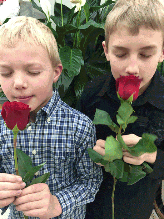 roses,brothers,my gify valentine,valentine,abbey,studio 360,valentines day
