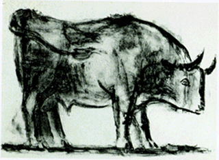 art,picasso,drawing,bulls