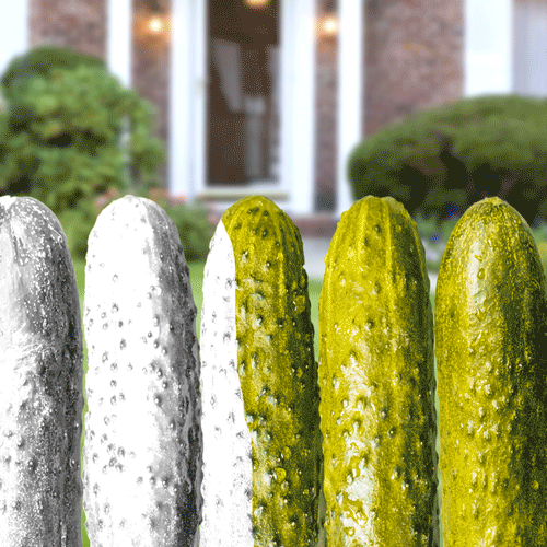 paint,humor,funny,lol,weird,dennys,pickle,white picket fence,white pickle fence