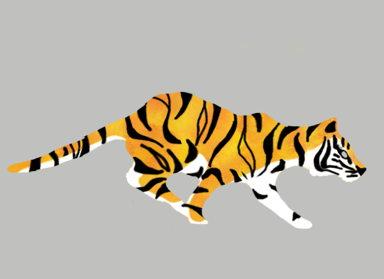 animation,tiger,may the abundance of sk apologize for the fact that my are still shitty,run cycle,national trails day