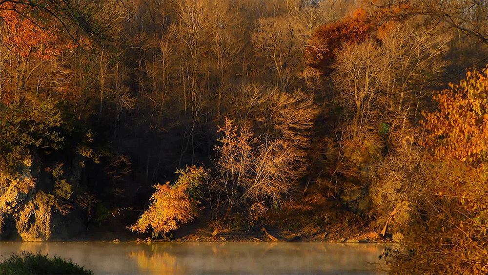 Осень гиф. Мрачная река осенью. Осень гифки. Осенняя синемаграфия. Осенний лес gif.