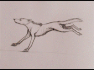 Werewolf transformation оборотень анимация гифка.