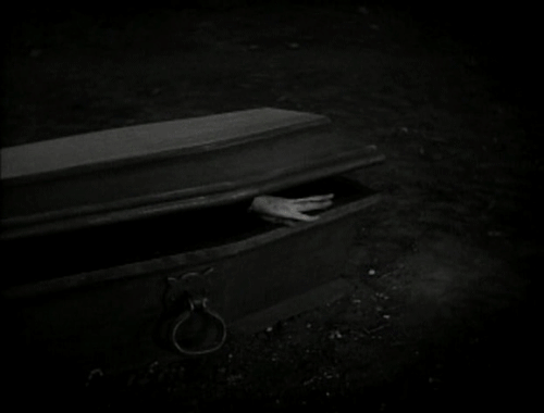 coffin,personal,vampire