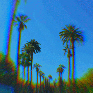 trippy,palm trees,drive,cali