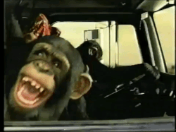 truck,car,chimpanzee,monkeys,driving,90s,retro,laughing,90s commercials,chimpan