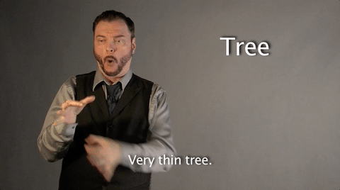 tree,sign with robert,sign language,deaf,asl,american sign language