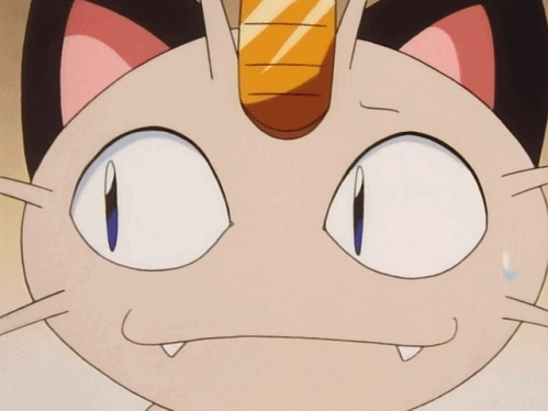 Animated GIF: pokemon anime meowth.