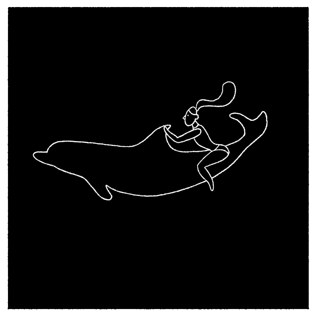 illustration,summer,motion,drawing,motion graphics,swim,dolphin,line drawing,cell animation,swim with dolphin,halimkim,animation character animatioin