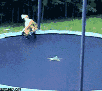 animals,fox,fighting,trampoline,chasing,foxes