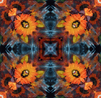 love,trippy,nature,colorful,flower,kaleidoscope,hippie