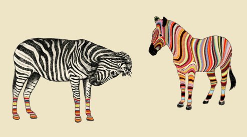 zebra,art,animals,colorful