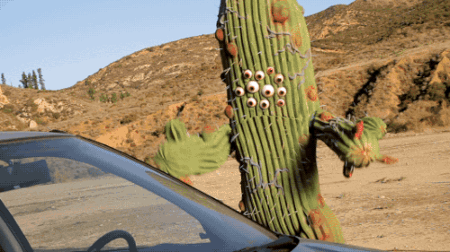 Уволили за фото кактуса. Смешной Кактус в пустыне. Кактус gif. Кактус в пустыне анимированный.
