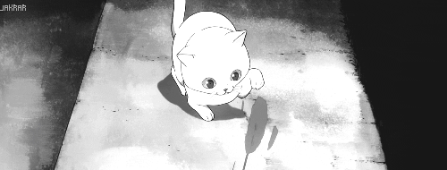 kitty,free,scenery,monochrome,swimming anime,free iwatobi swim club,cute lil kitty