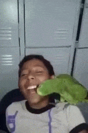 tooth,parrot,helps