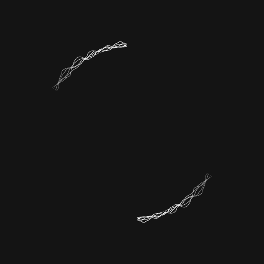 perfect loop,black and white,processing,creative coding,p5art,openprocessing,perlin noise