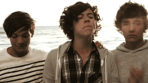 cute,one direction,harry styles,zayn malik,louis tomlinson,liam payne,1d,niall horan,what makes you beautiful,wmyb,one direction video,thewalls