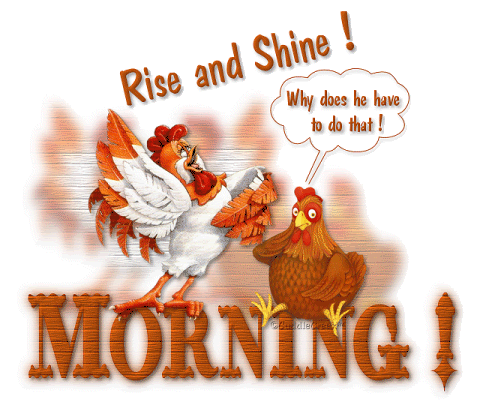 good morning,rise and shine,morning