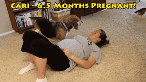 pregnant,dog