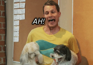 tv,comedy central,dog,puppy,singing,screaming,daniel tosh,tosh0