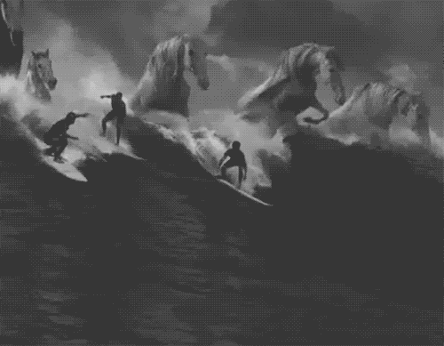 surreal,horses,odd,black and white,surfing,oddity