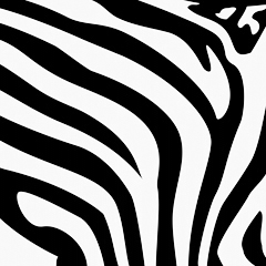zebra,art design