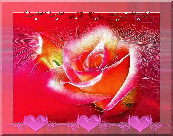 Animated GIF: rosa rose.