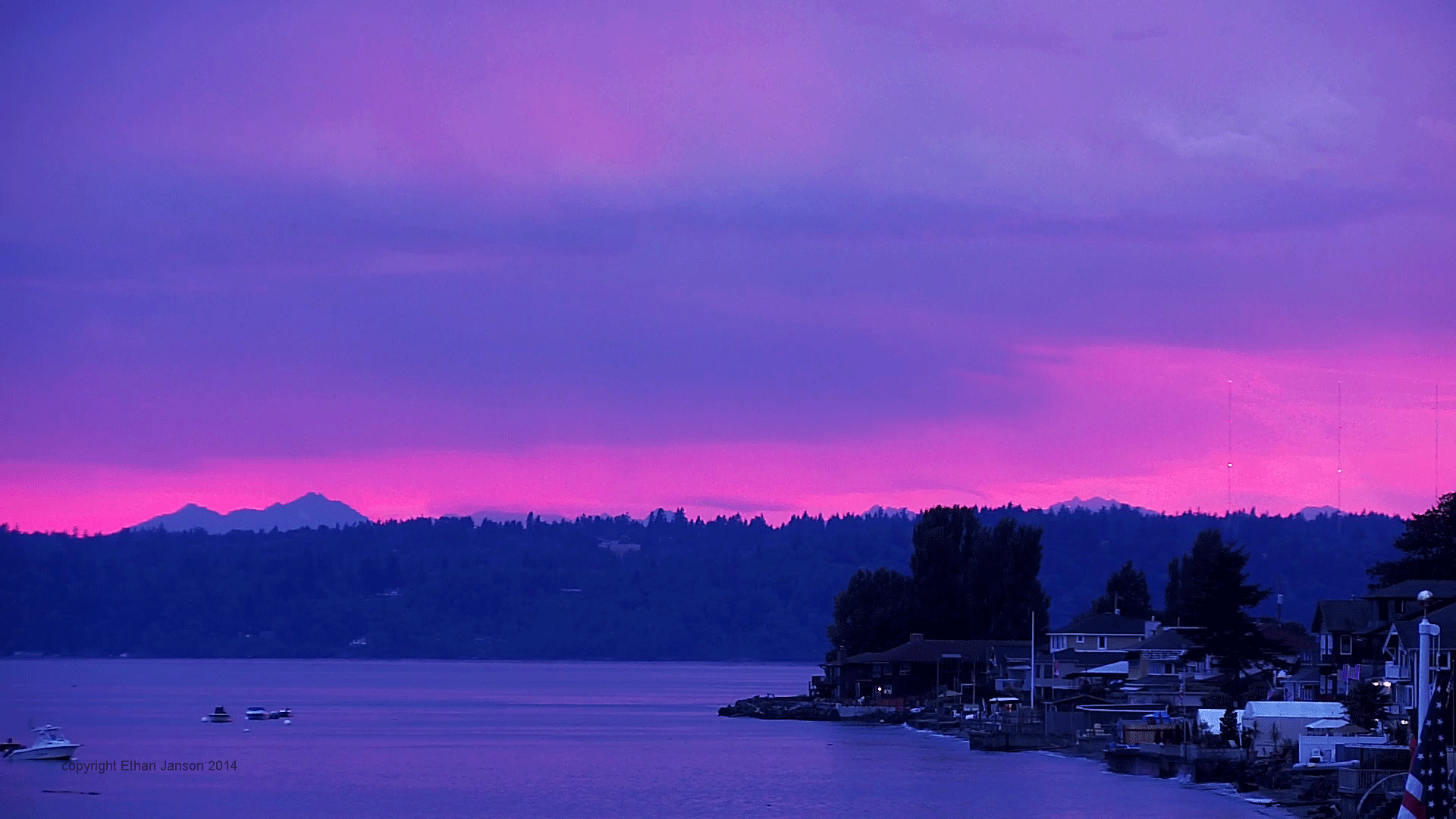 Фиолетовая природа. Фиолетовое небо. Неоновый закат. Пейзаж. Гифки для рабочего стола