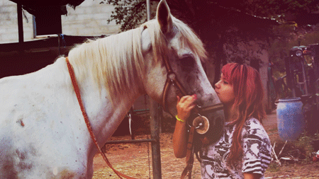 caballo,love,girl,pink,horse,pink hair,equestrian