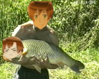 made this myself,aph romano,aph spain